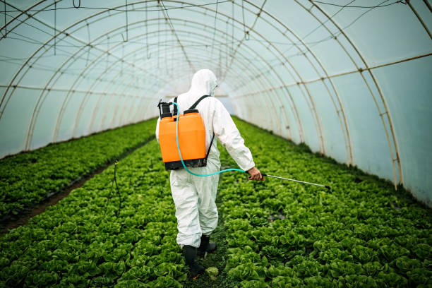 Best Affordable Pest Control Services  in Pennsburg, PA